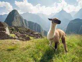 Pourquoi choisir la destination du Pérou